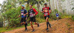 Ultra Trail Paranapiacaba 2025