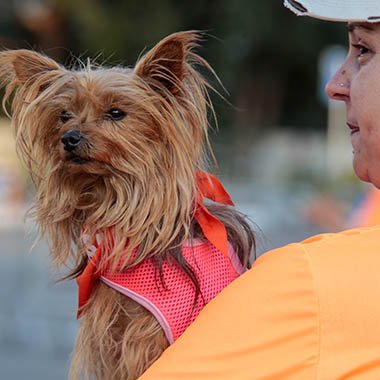 1 Findrun CoCorrida e CoCaminhada